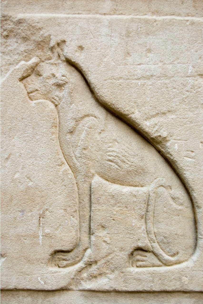 Bastet en bas-relief