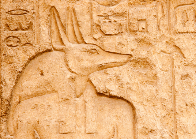 Le dieu égyptien Anubis