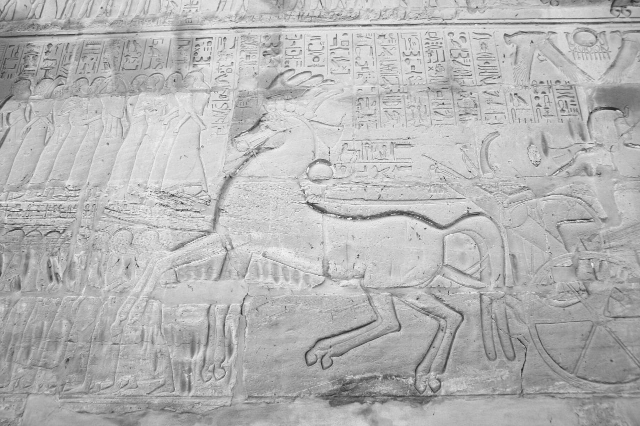 Chevaux et chars de l'Égypte antique