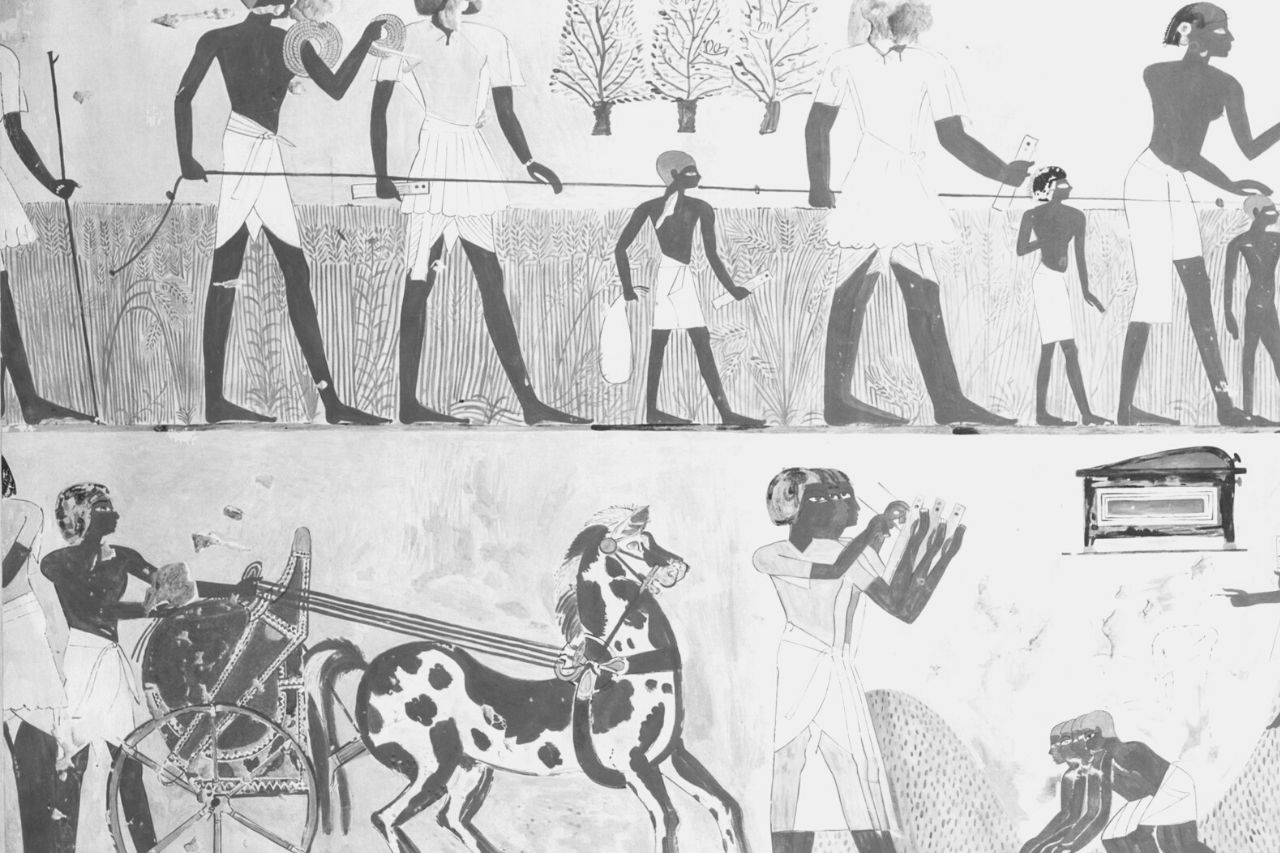 Les chevaux dans l'Égypte antique : comment ils devinrent importants
