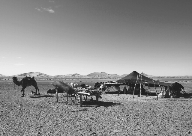 Bivouac berbère