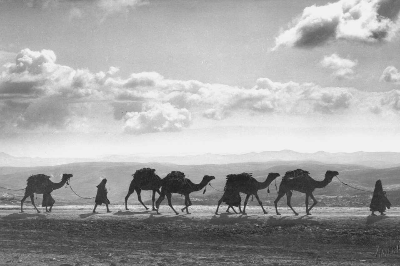 Histoire de la Palestine : un pays au carrefour des fois