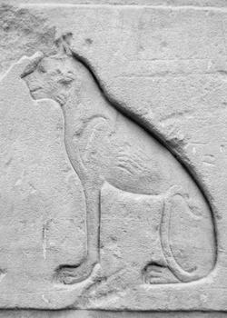 Gravure de la déesse égyptienne des chats Bastet