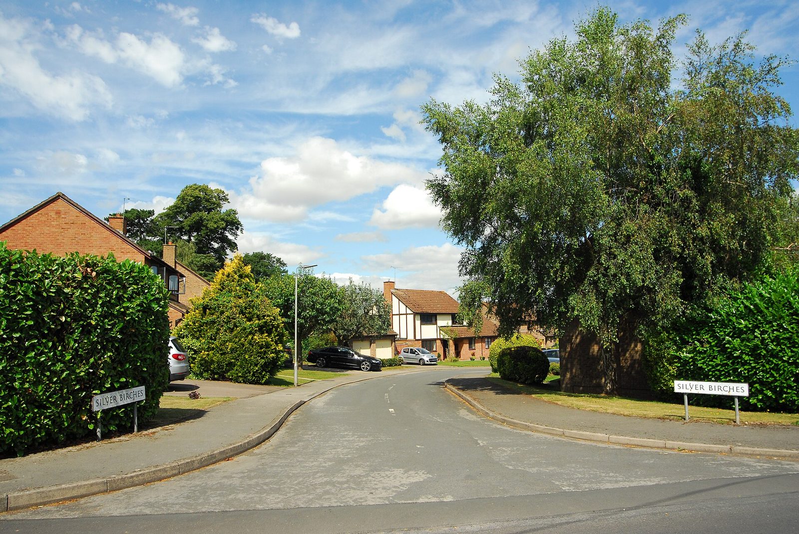 Silver Birches, Archenfield