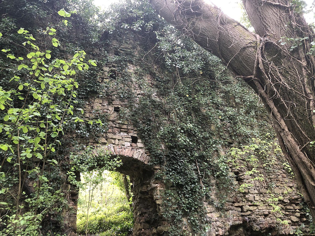 Partie des ruines médiévales de Dinas Powys