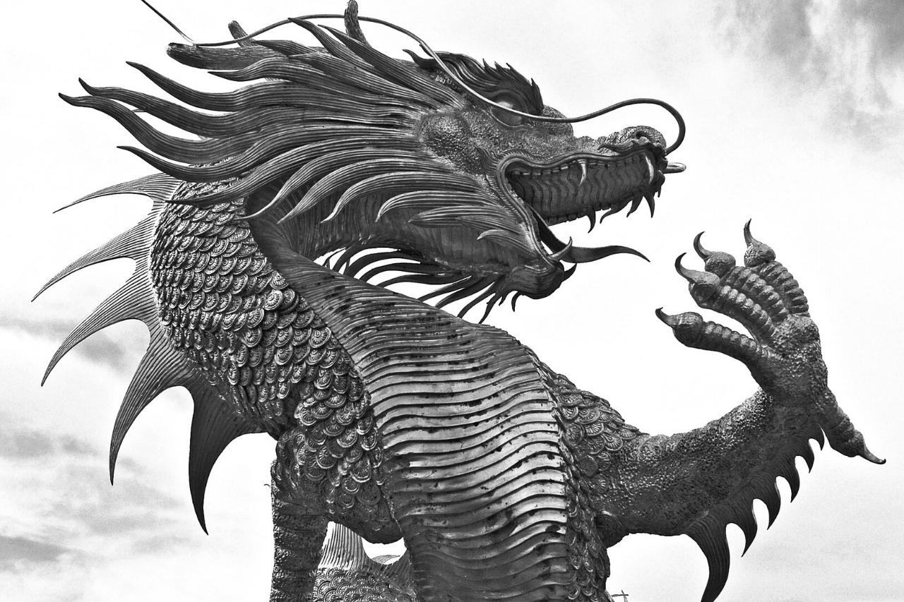 Dragons asiatiques à fourrure : légendes du Loong et de l'Amphiptère