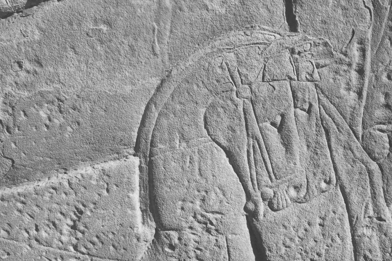 Chevaux dans l'Égypte antique