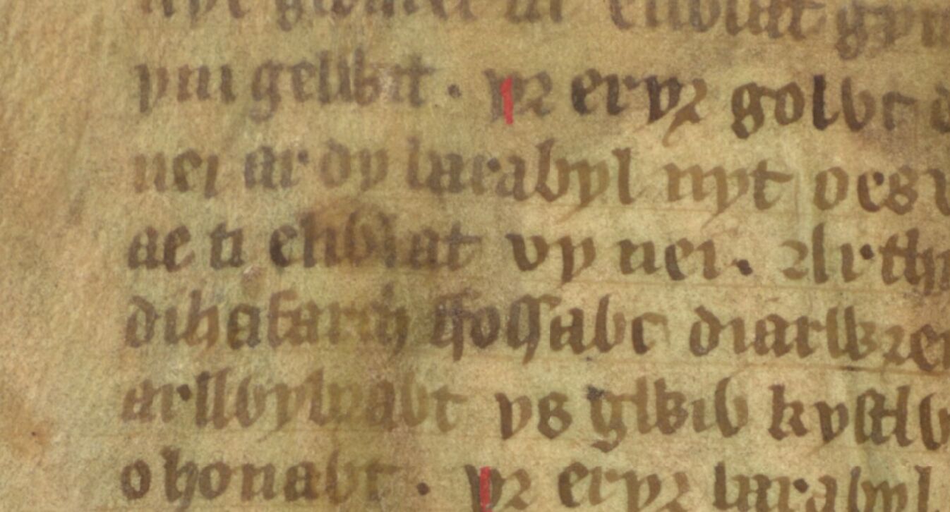 Eliwlod, neveu du roi Arthur