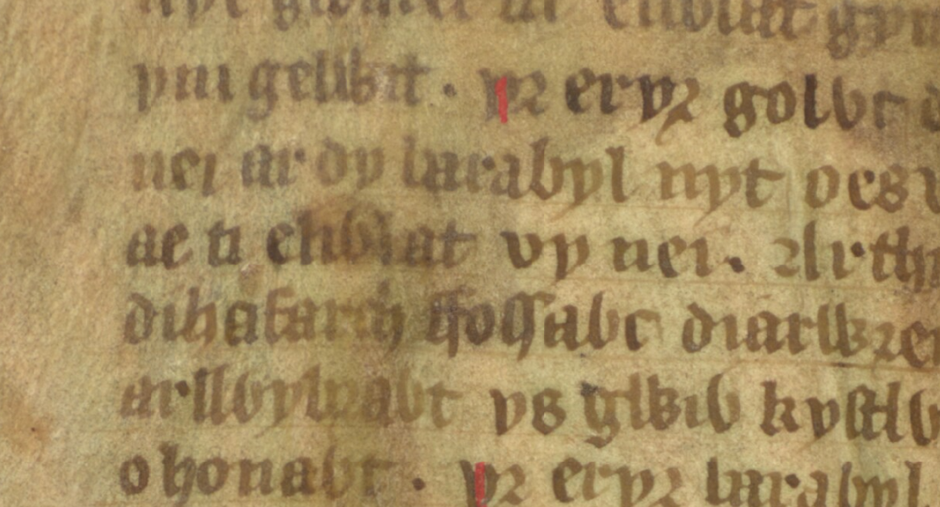 Eliwlod, neveu du roi Arthur