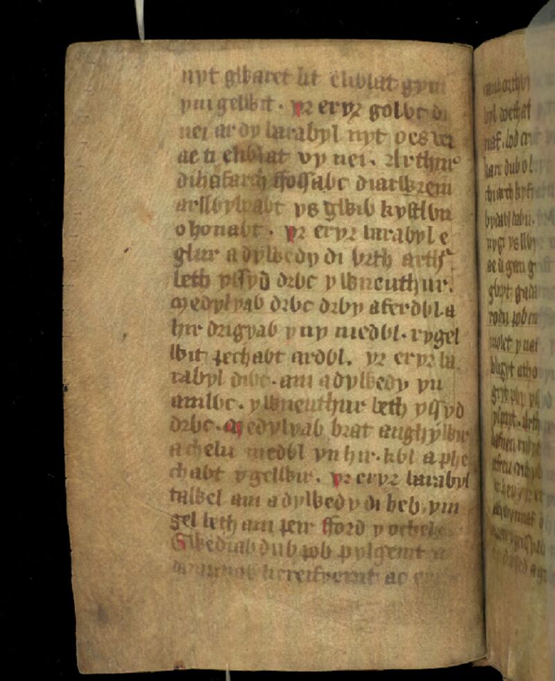 Jesus College MS 20, folio 1v, montrant la première page du poème <i>Ymddiddan Arthur a'r Eryr</i>, ou <i>Arthur et l'Aigle</i>