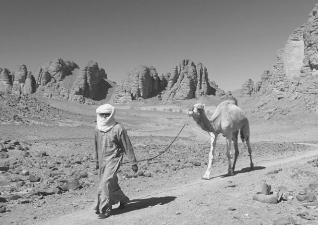 Algérie : Une histoire de lutte et d'indépendance