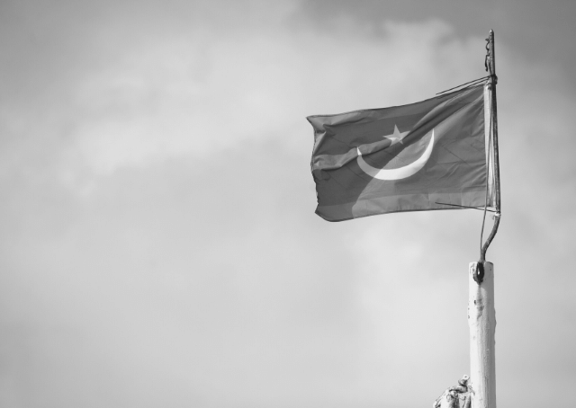 Drapeau de la Mauritanie