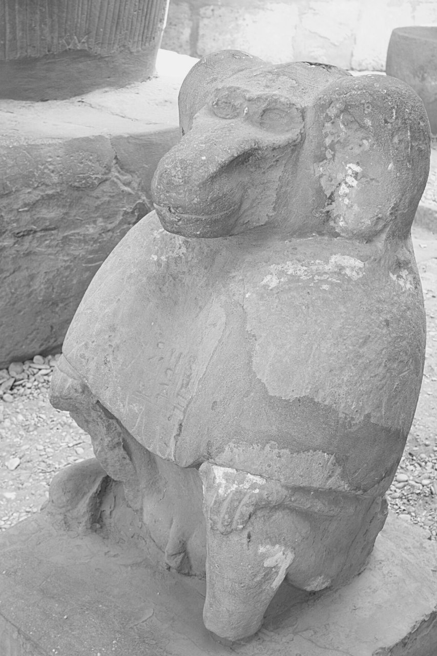 Statue de singe