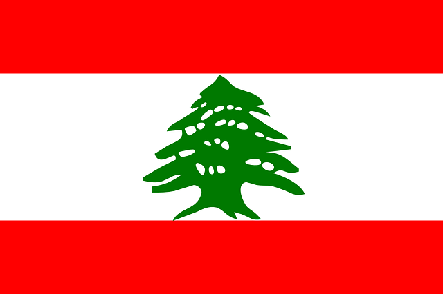 Drapeau national du Liban