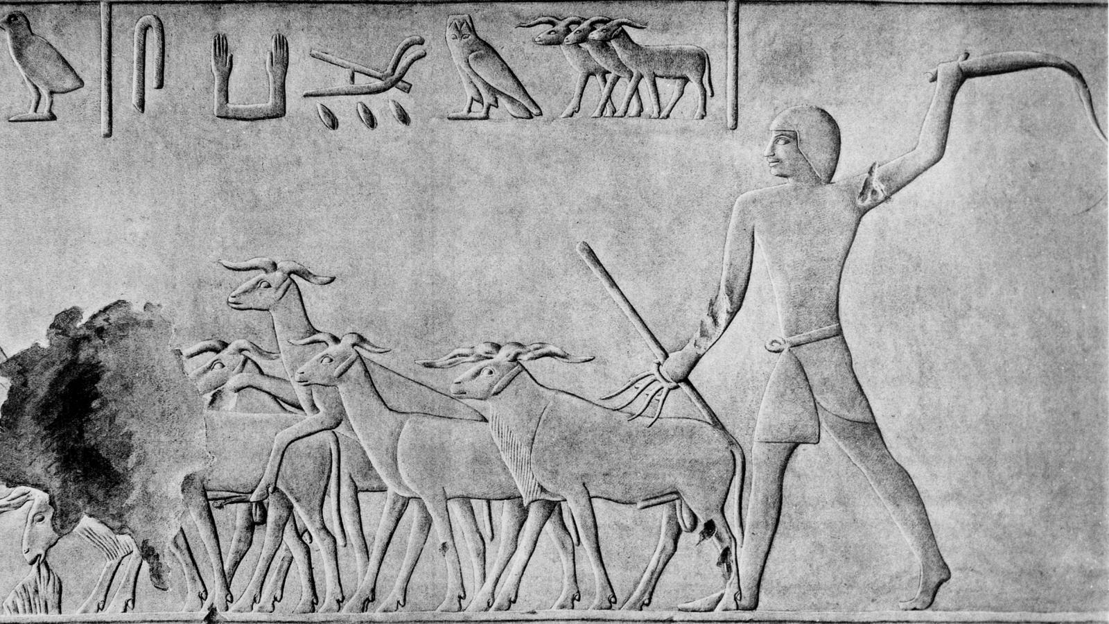 Pourquoi les bergers étaient-ils une abomination pour l'Égypte ? Quatre théories convaincantes
