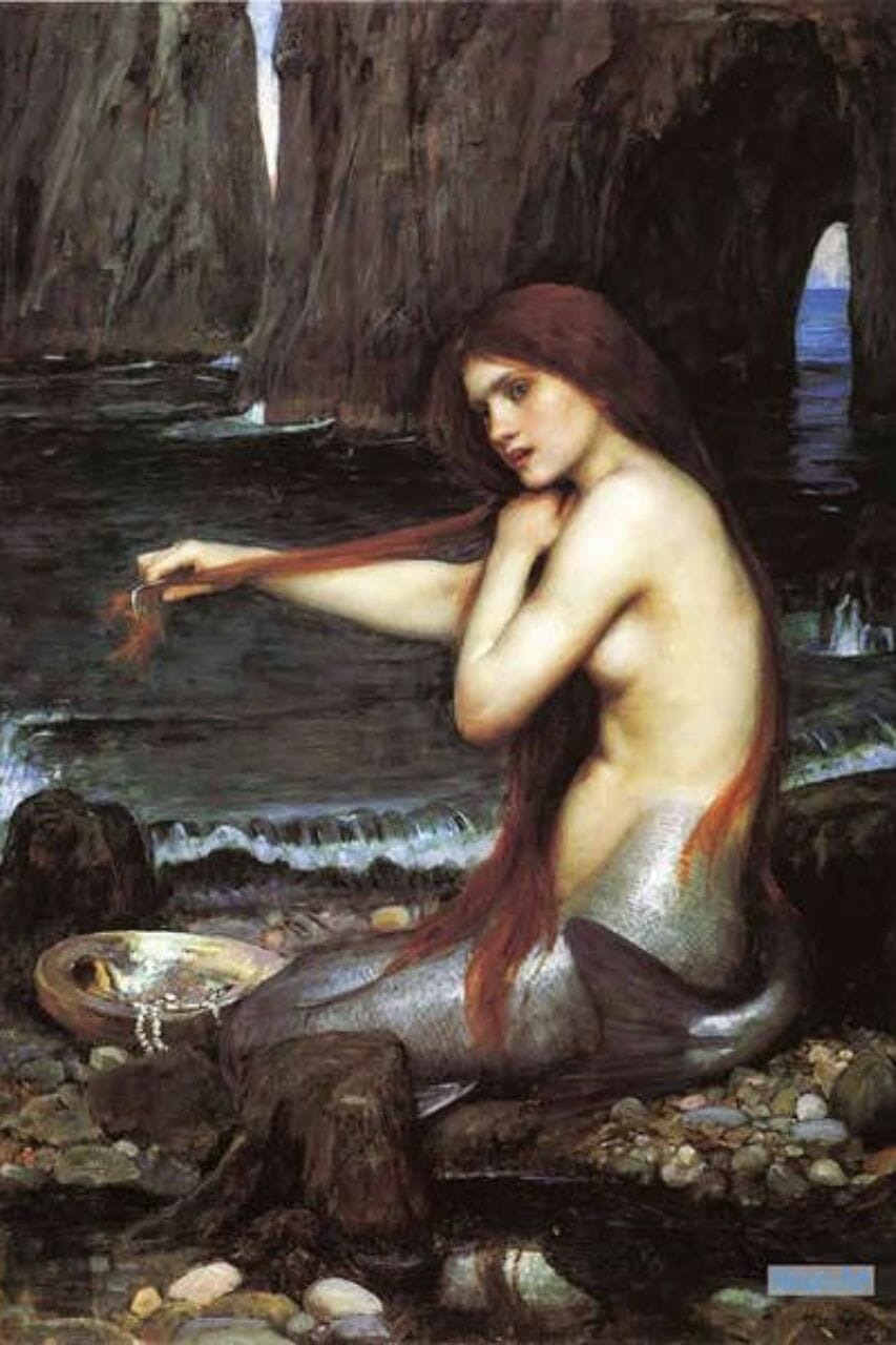 Sirène contre sirène-poisson — quelles sont les différences