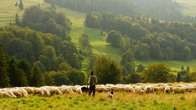 Agriculteur talysh