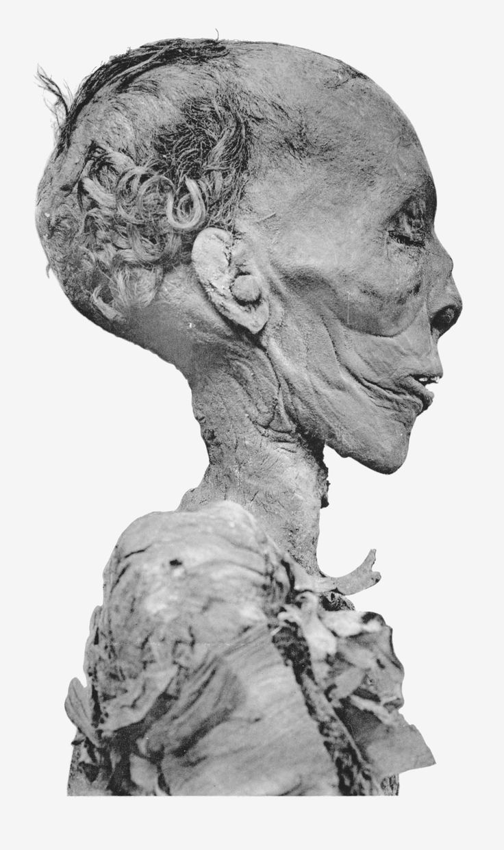 Touthmôsis II